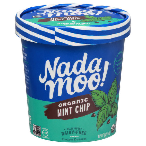 Nada Moo! Frozen Dessert, Organic, Mint Chip