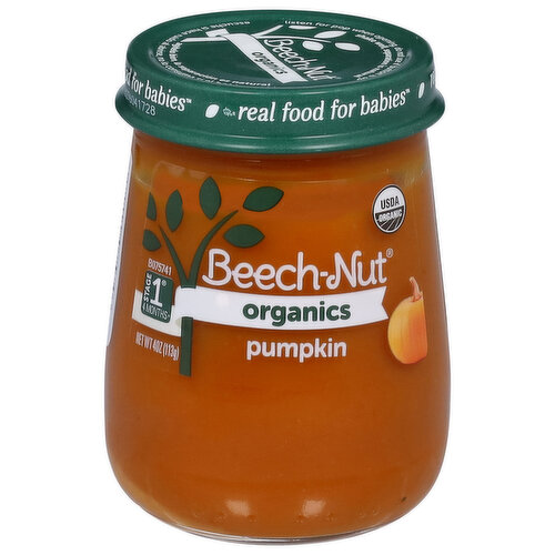 Beech-Nut Pumpkin, Organic, Stage 1 (4 Months+)