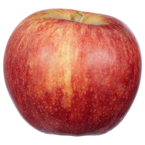 Fresh Apple, Gala