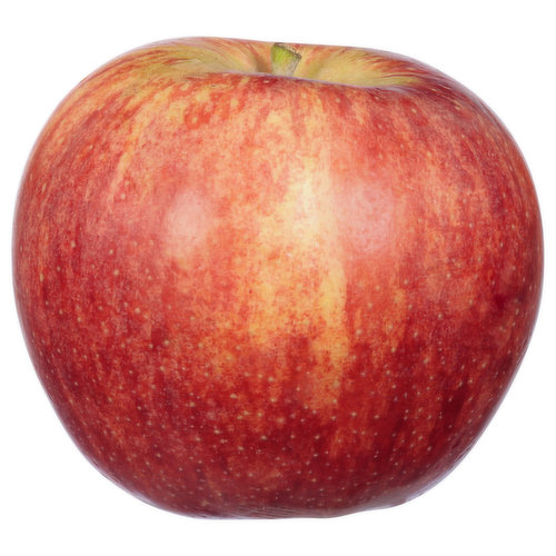 Bulk Organic Gala Apples