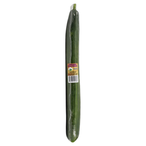 Fresh Organic Long English Cucumber, Each