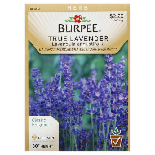 Burpee Seeds, True Lavender