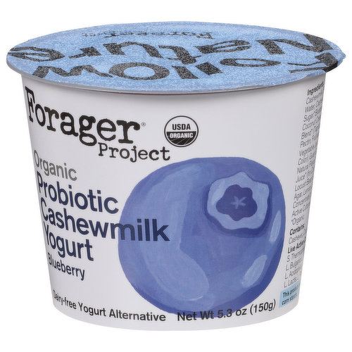 Order Organic Sour Cream Dairy Free Forager Project