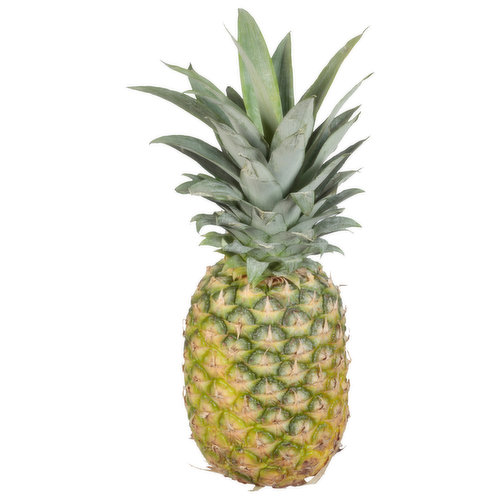 Fresh Pineapple