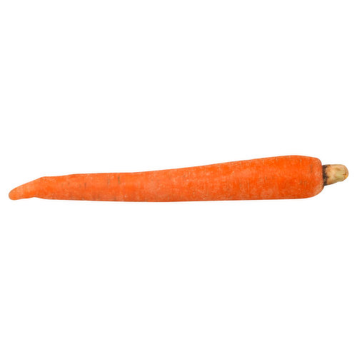 Fresh Carrot