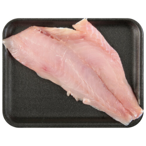 Fresh Gulf Red Snapper Fillet