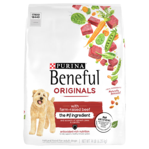 Beneful Dog Food, with Farm-Raised Beef, Adult Small Dogs