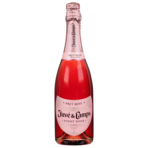 Juve & Camps Pinot Noir, Brut Rose