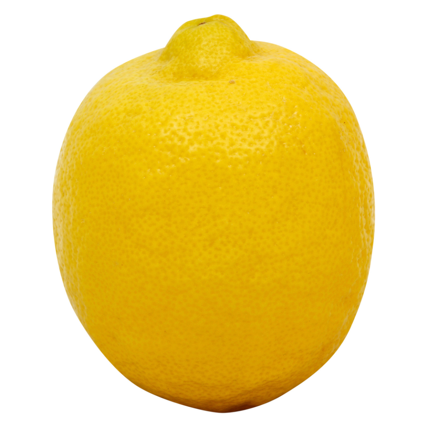 Fresh Lemon, 250 g : : Grocery & Gourmet Foods