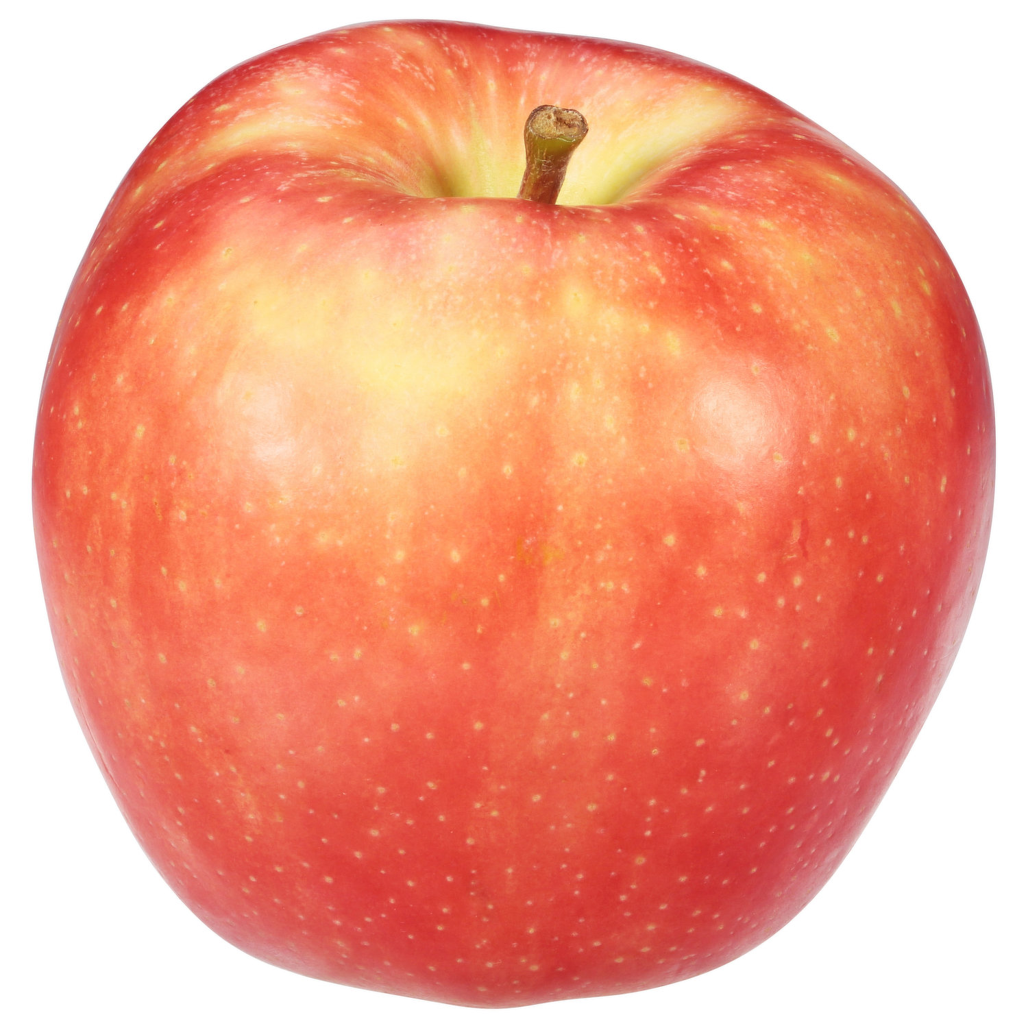 Apple Honeycrisp ea.