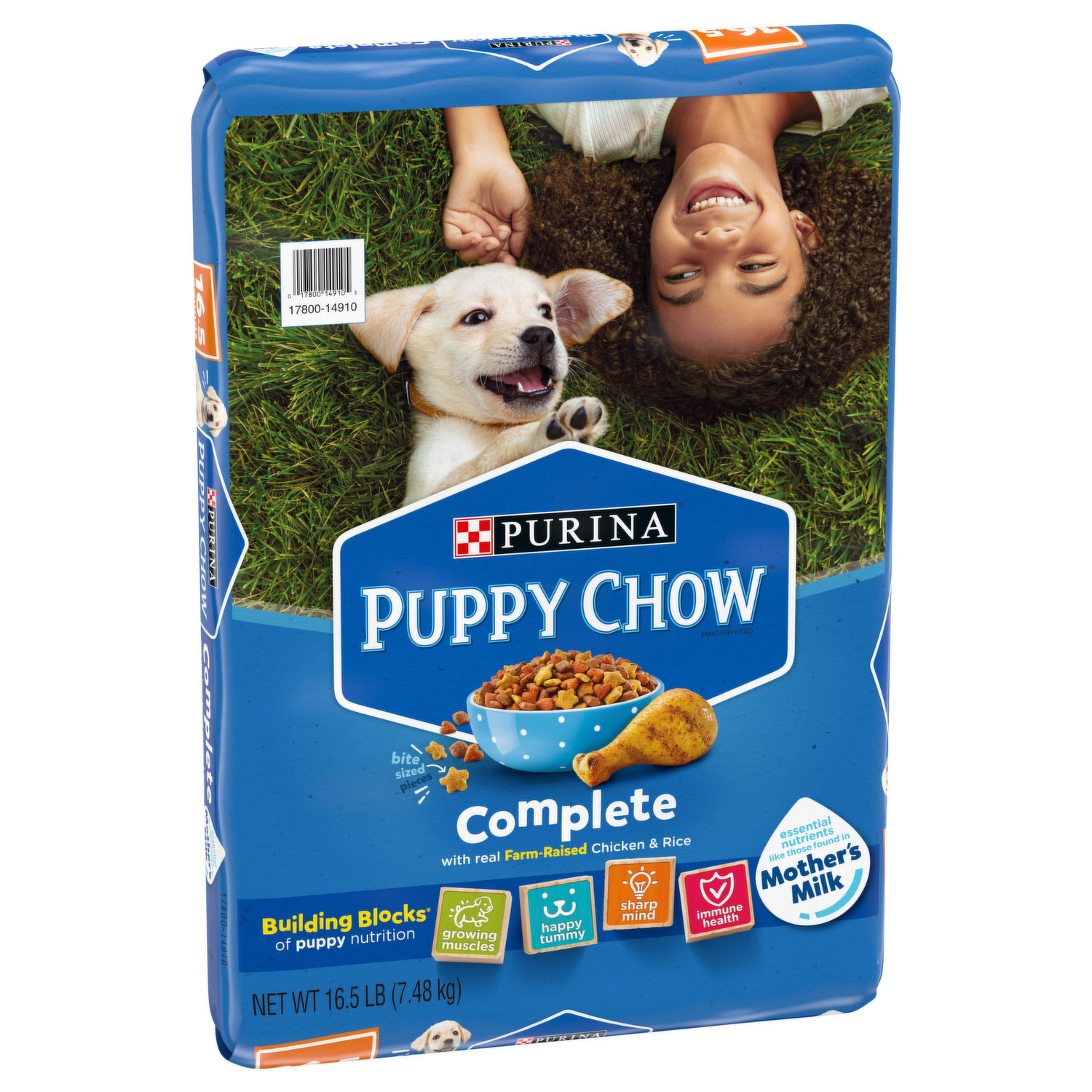 Pup Cup Frozen All Life Stage Dog Treat - Original