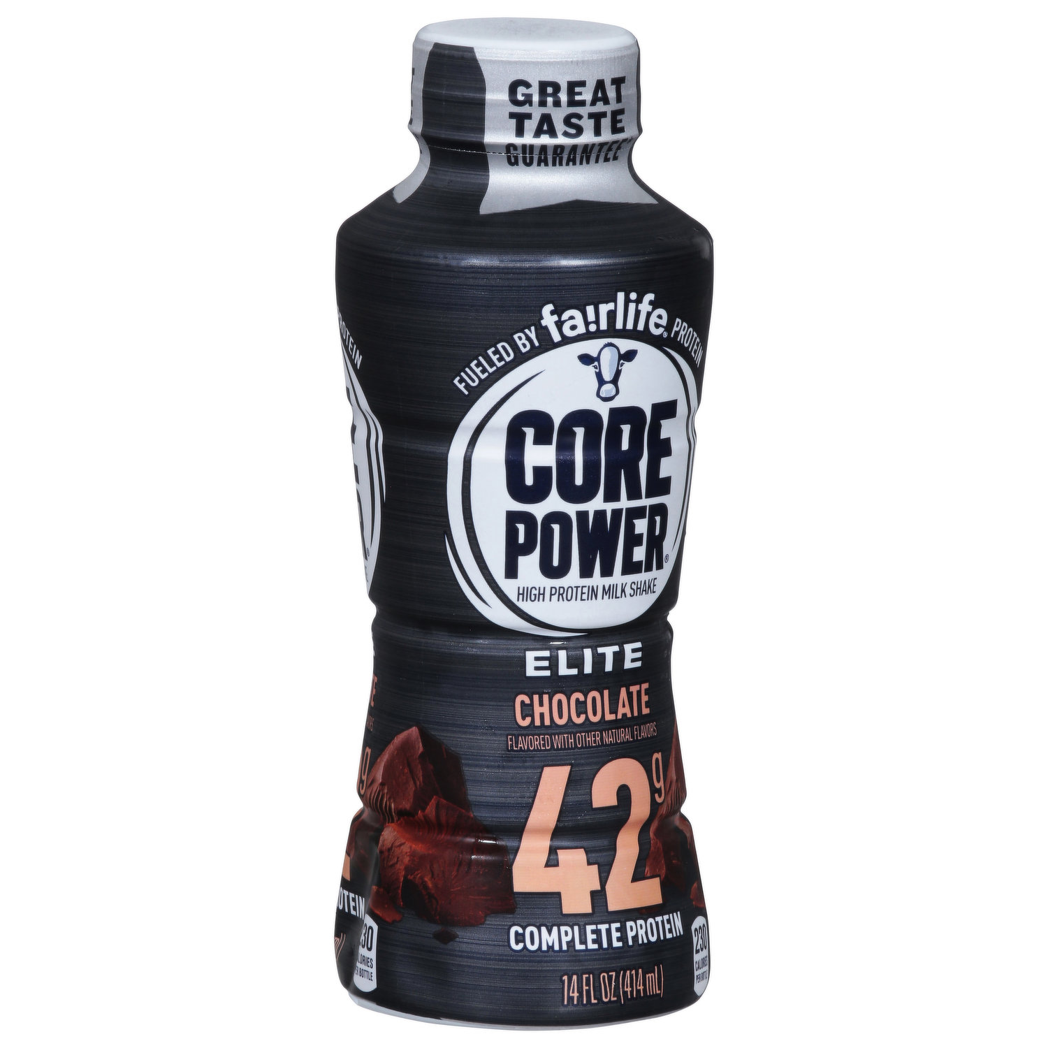 Protein Power Chocolate Protein Milk 14 fl oz