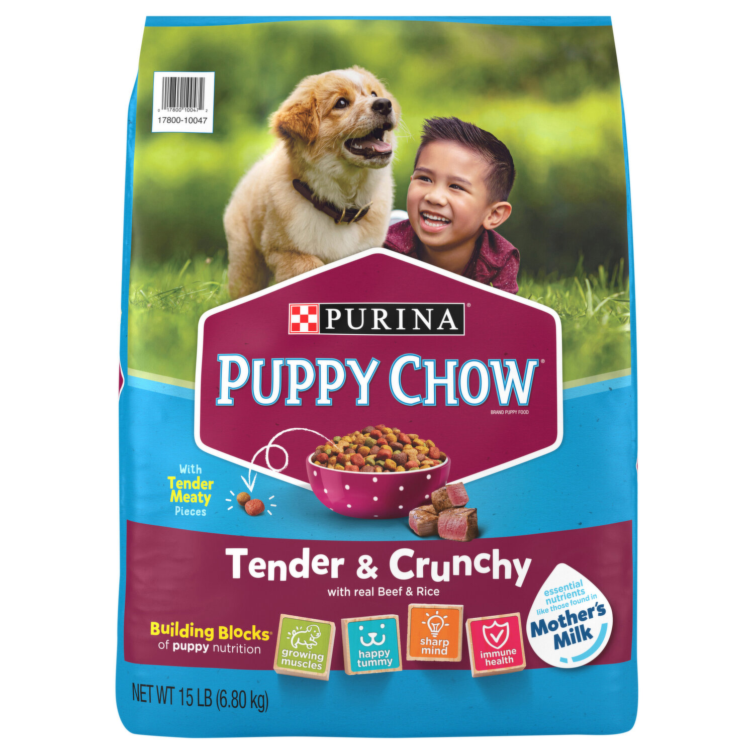 Best puppy hotsell chow dog food