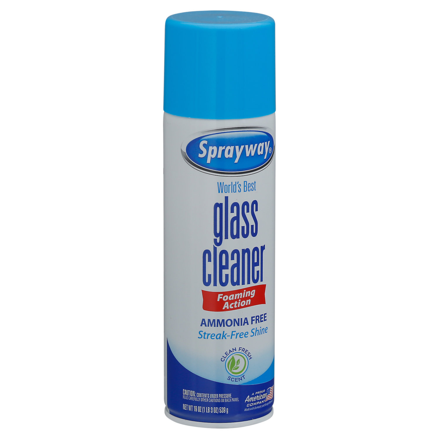 Sprayway Cleaner and Polish 15 oz, Glass Cleaners