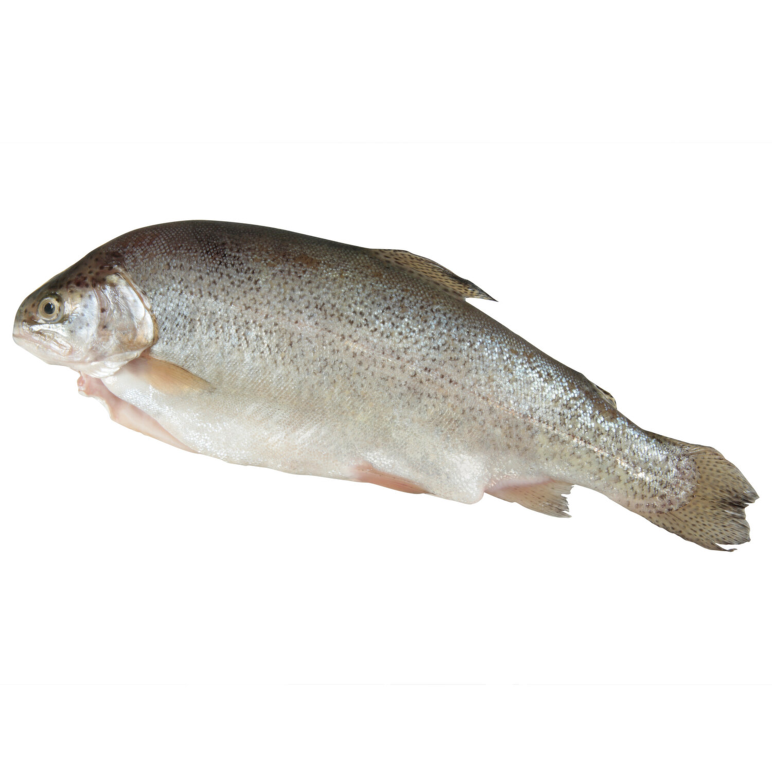 Fresh Whole Dressed Rainbow Trout - FRESH by Brookshire's