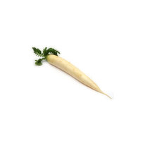 Daikon Radish, 1 Pound