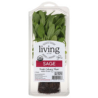 North Shore Living Herbs Sage, 1 Each