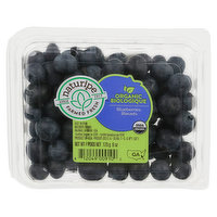 Naturipe Farmed Fresh Blueberries, Organic, 6 Ounce