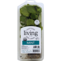 North Shore Living Herbs Mint, 1 Each