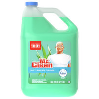 Mr. Clean Multi-Surface Cleaner, with Febreze Freshness, Meadows & Rain, 1 Gallon