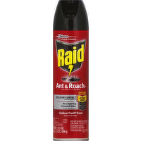 Raid Ant & Roach Killer 17, Outdoor Fresh, 17.5 Ounce