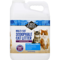 First Street Cat Litter, Multi-Cat, Unscented, Scoopable, 20 Pound