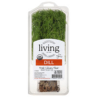 North Shore Living Herbs Dill, 1 Each