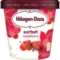 Haagen-Dazs Sorbet, Raspberry, 14 Fluid ounce