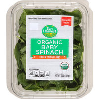 Sun Harvest Baby Spinach, Organic, 5 Ounce