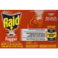 Raid Fogger, Concentrated Deep Reach, 3 Each