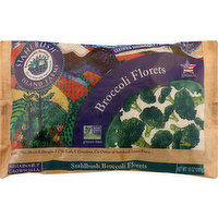 Stahlbush Island Farms Broccoli Florets, 10 Ounce