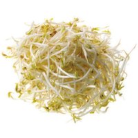 Bean Sprouts 5 lb, 5 Pound