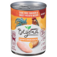 Purina Dog Food, Natural, Cage-Free Chicken & Sweet Potato Recipe, in Gravy, 12.5 Ounce