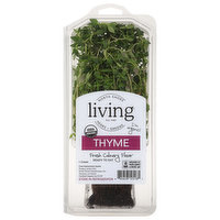 North Shore Living Herbs Thyme, 1 Each