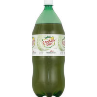 Canada Dry Ginger Ale, Diet, 2 Litre