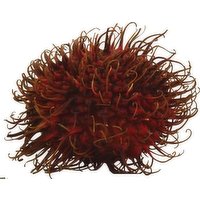 Rambutan 8 oz, 8 Ounce