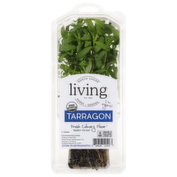 North Shore Living Herbs Tarragon, 1 Each
