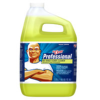 Mr. Clean Professional Professional No-Rinse Floor Cleaner, 1 Gallon (Case of 4), 1 Gallon