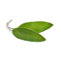 Fresh Sage Ea., 1 Each