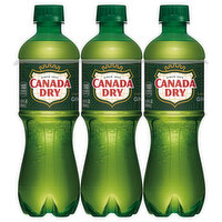 Canada Dry Ginger Ale, Caffeine Free, 6-Pack, 6 Each