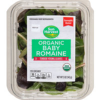 Sun Harvest Baby Romaine, Organic, 5 Ounce