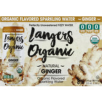 Langers Sparkling Water, Ginger, 96 Ounce