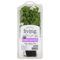 North Shore Living Herbs Oregano, 1 Each