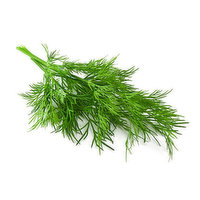 Fresh Dill Ea., 1 Each