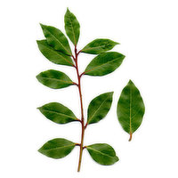 Fresh Bay Leaf Ea., 1 Each