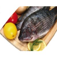 Whole Tilapia, 1.43 Pound