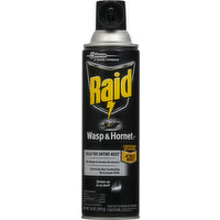 Raid Wasp & Hornet Killer 33, 14 Ounce