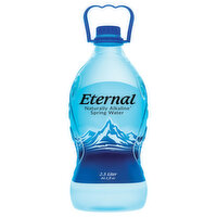 Eternal Spring Water, Alkaline, 84.5 Fluid ounce