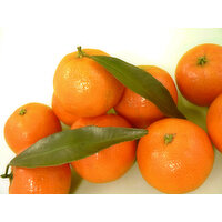 Fairchild Tangerines, 1 Pound