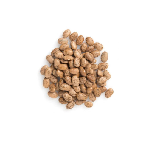 Pinto Beans